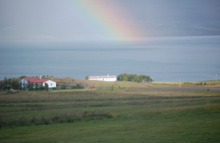 Grapevine: Is he really my true Valentine? Love and PTSD.