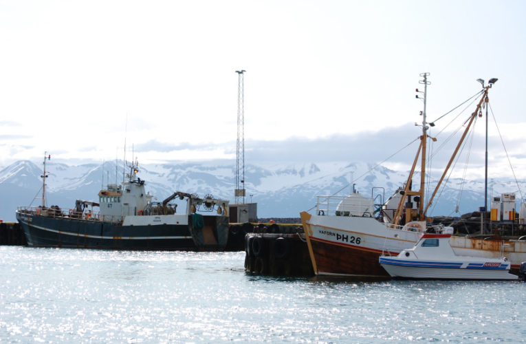 Grapevine: Woman/wife/mother: PTSD + suicidal thoughts