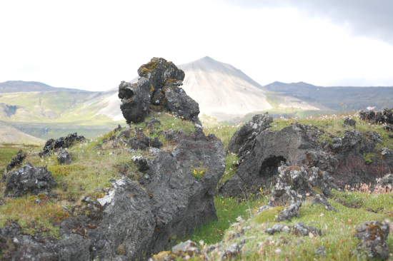 Grapevine: Complications arise with a new job. Fear of oversharing when you are a PTSD survivor.