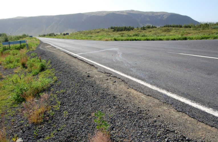 Grapevine: I’m baaaaack! Let’s get talking about living well with PTSD when starting your new job!