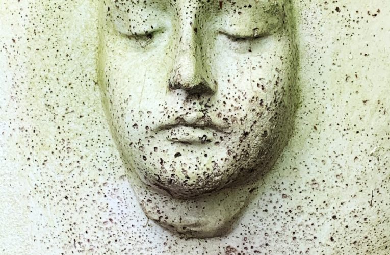 PTSD Book for Veterans and Trauma Sufferers in Grapevine